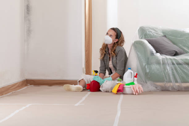 Reliable Mold Remediation contractor in Woodstock, IL by Cheap Mold Removal